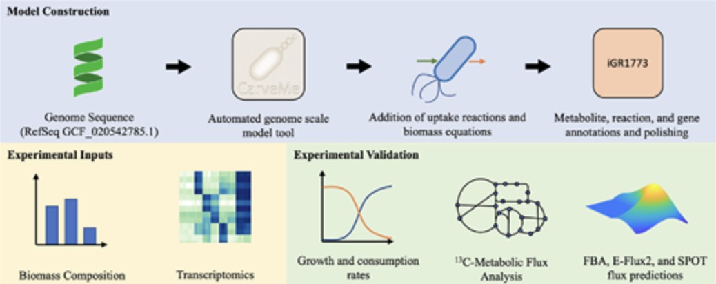Figure from the Roell et al. (2023) Rhodococcus opacus genome-scale model paper